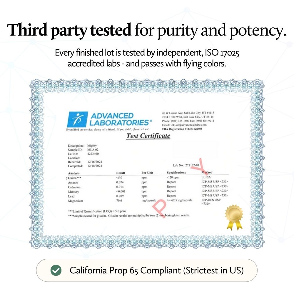 Mighty: Nutritional Support for People with Migraine